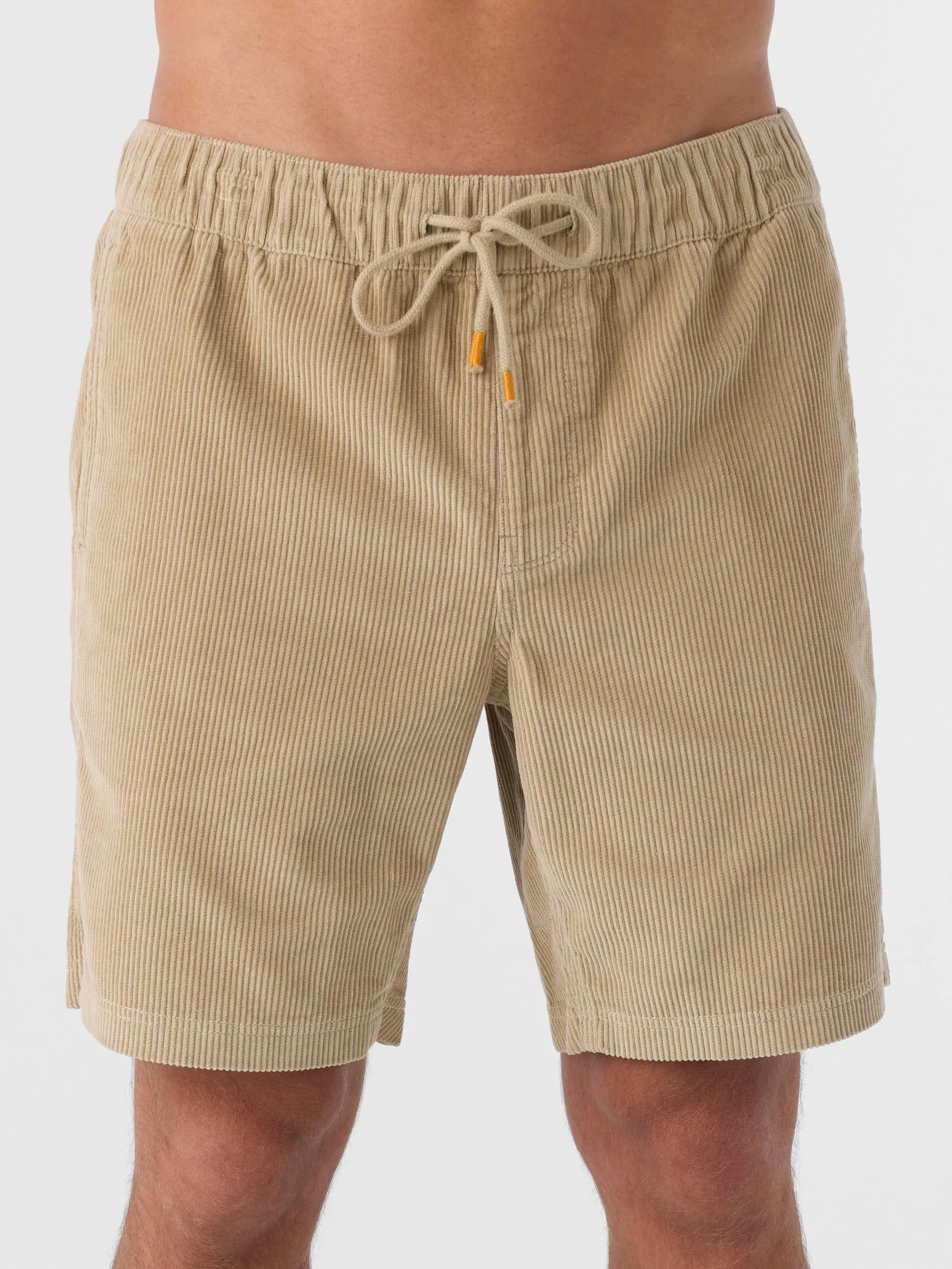 Picnic 18 Shorts